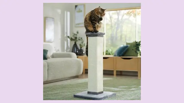 Frisco 33.5" Heavy Duty Sisal Post