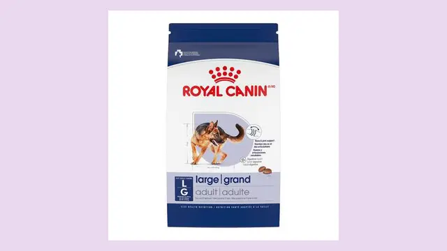 Royal Canin Large Adult